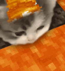 kitty-minecraft.gif
