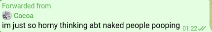 koiscat1.png
