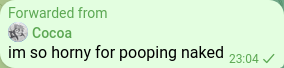 koiscat2.png
