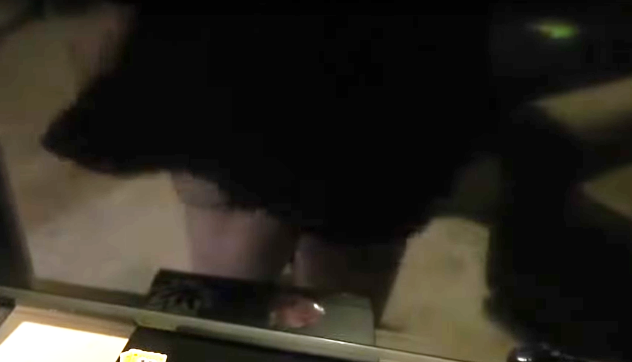 Leg1.png