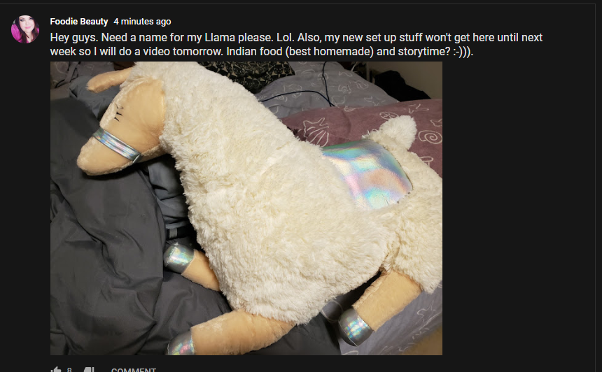 llama.PNG