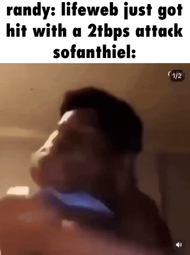 lol.gif
