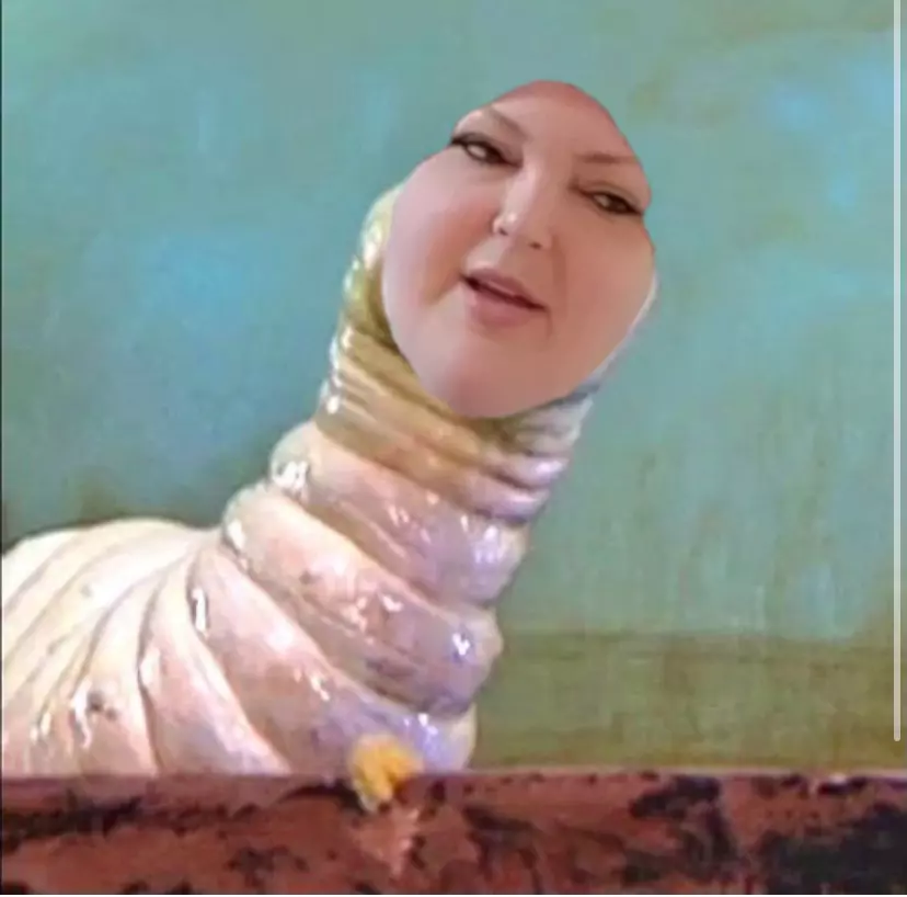 maggot.webp