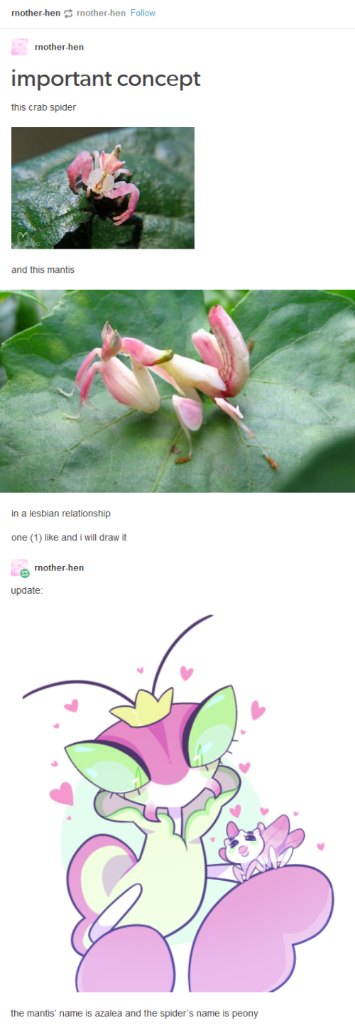 nii-down.png