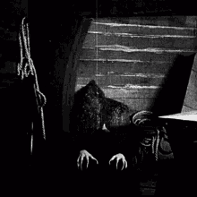 Nosferatu 2.gif