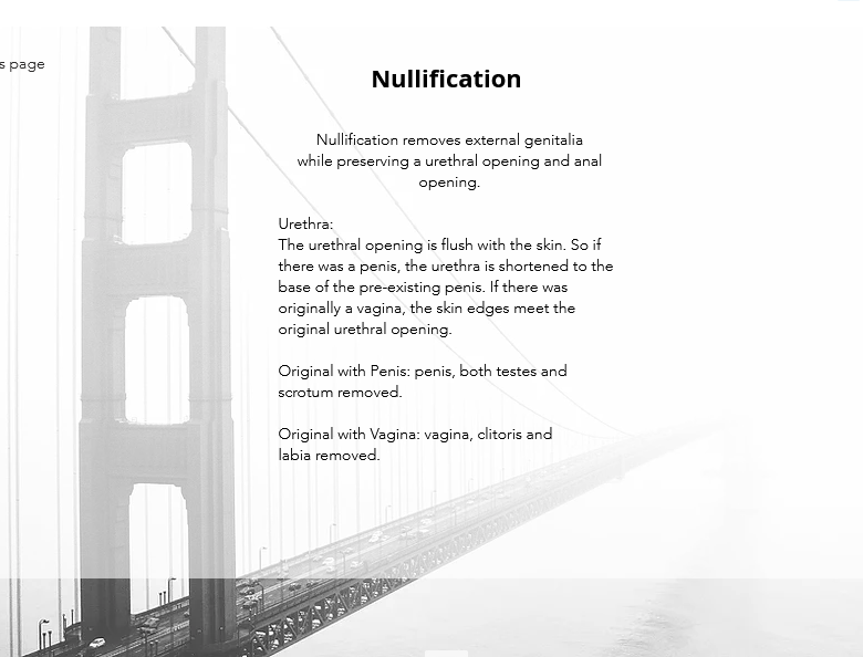 Nullification-mozaic.png