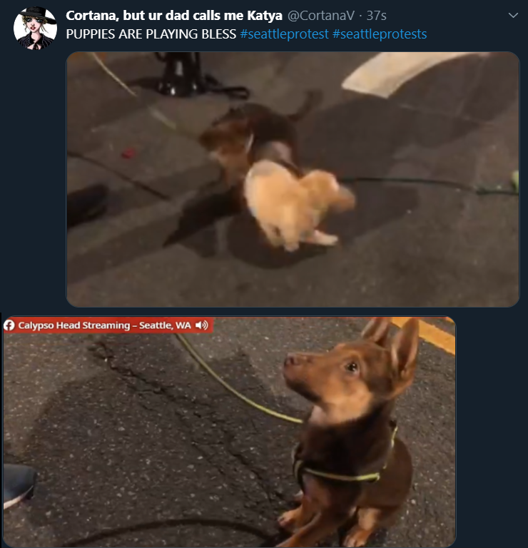 pan.png