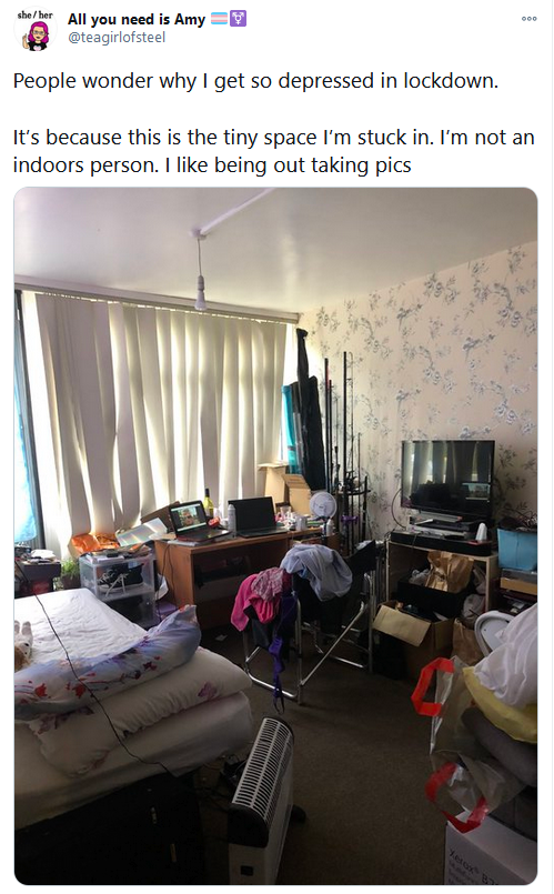 petrellihome.png