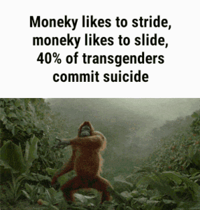 proxy-image (17).gif