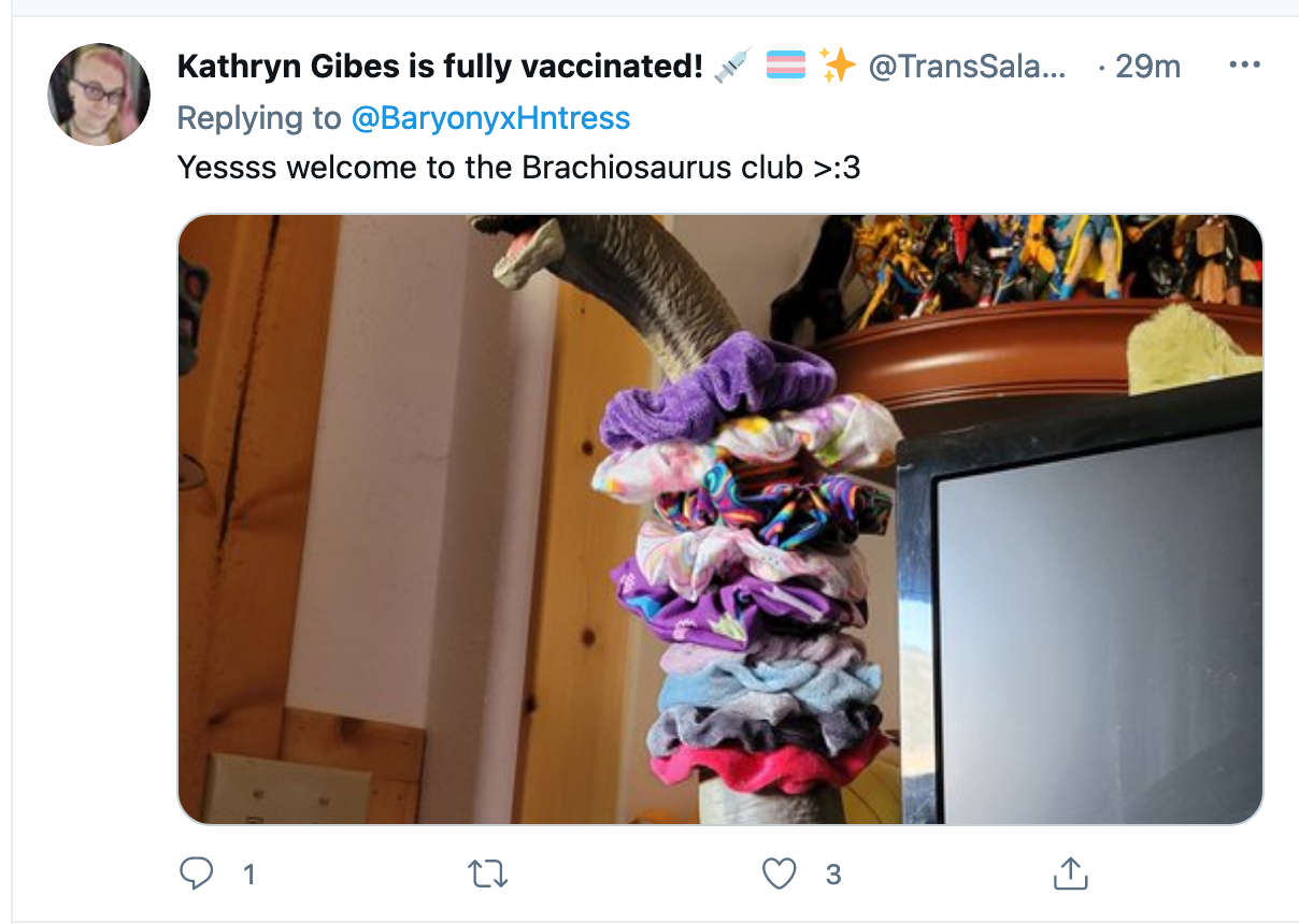scrunchie king.png