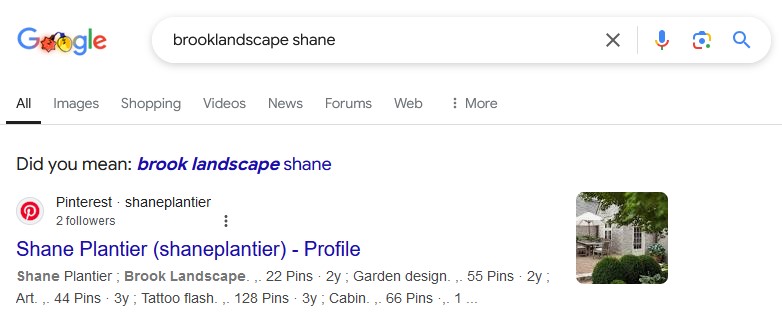 shane02.jpg
