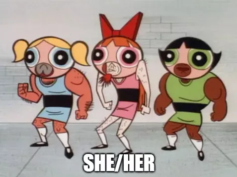 she her meme.webp