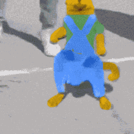 sneed-cat.gif