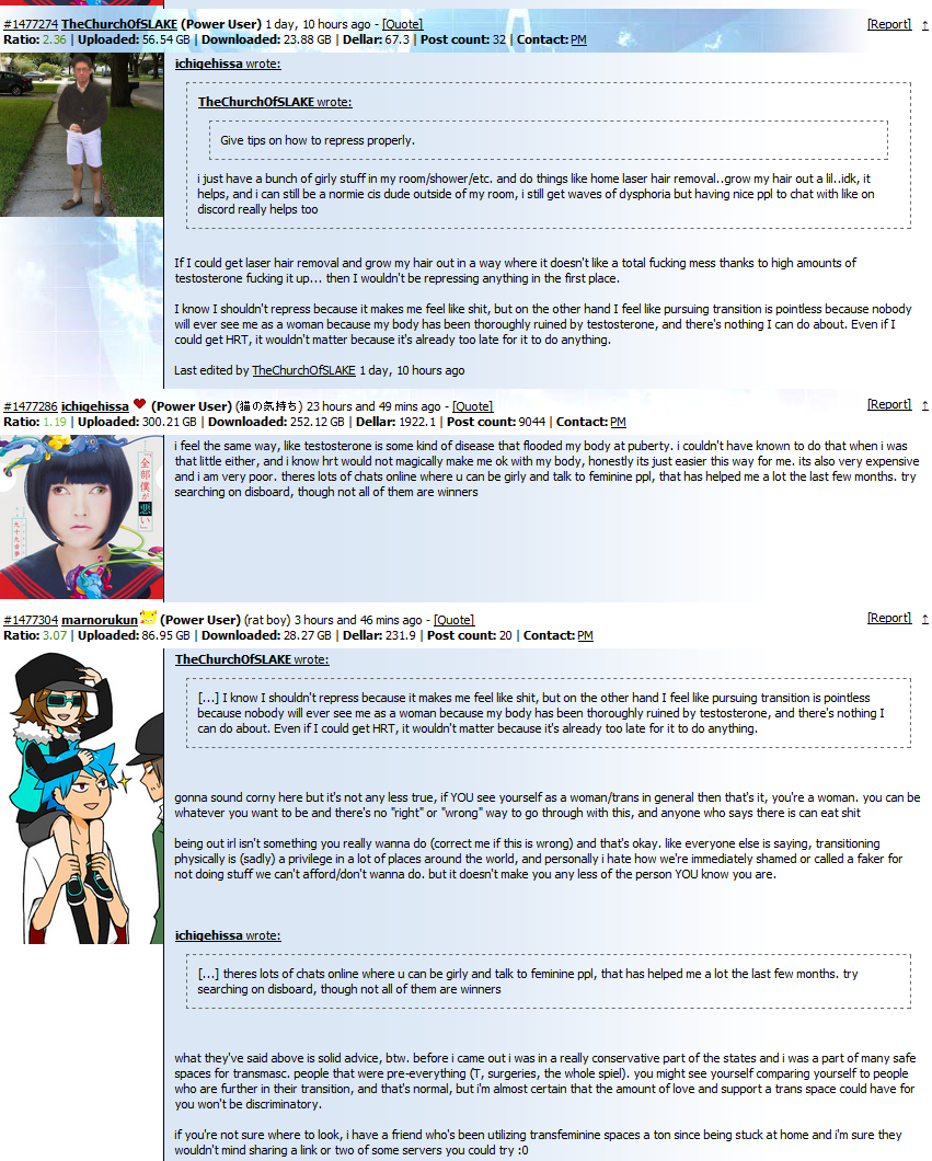 sows1.PNG