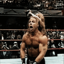 tenor (3).gif