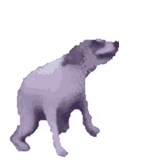 tenor.gif
