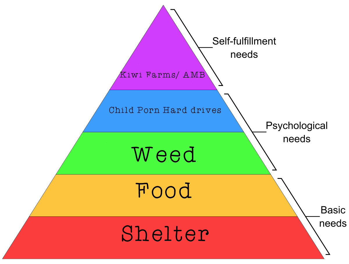TomsNeeds.png