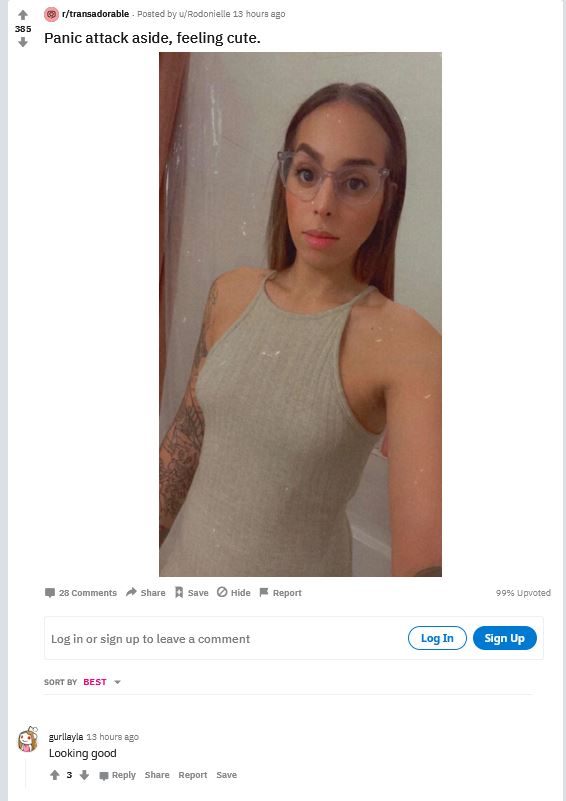 trans.JPG