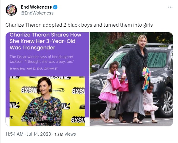 trans2.jpg