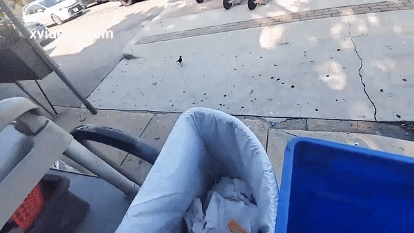 trashchips2.gif