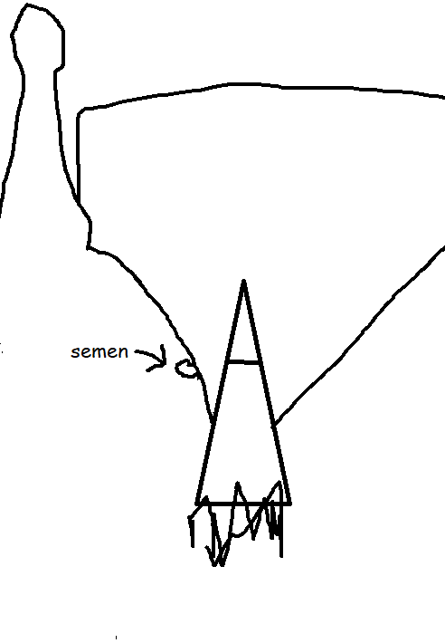 wedge.png
