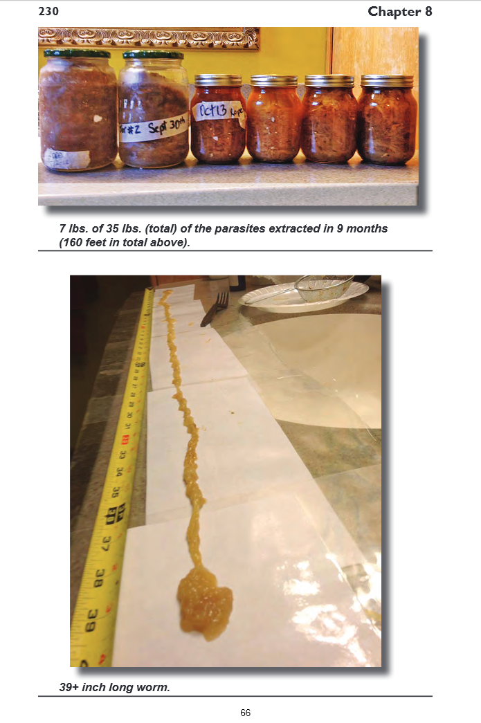 Worms in jars.png