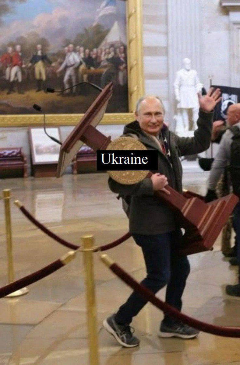 yoink.jpeg