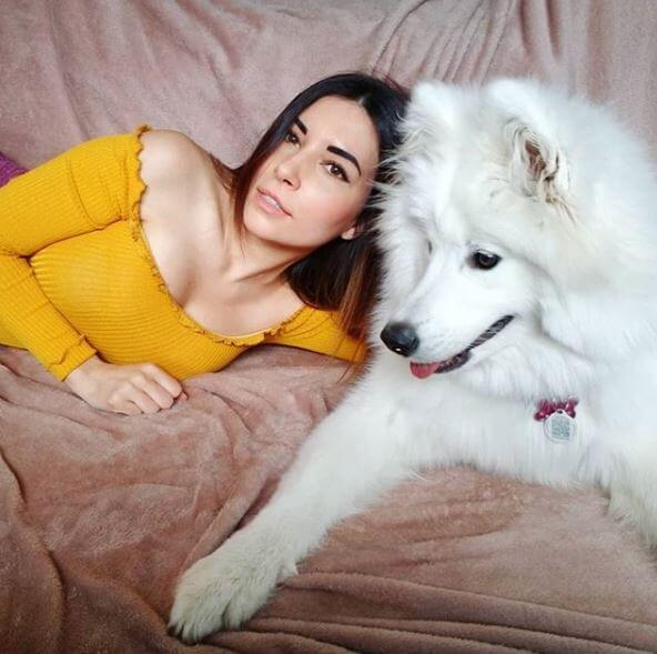 alinity dog twitch