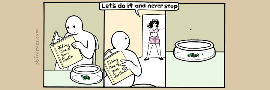 PBF089-Caring_for_Your_Turtle.gif