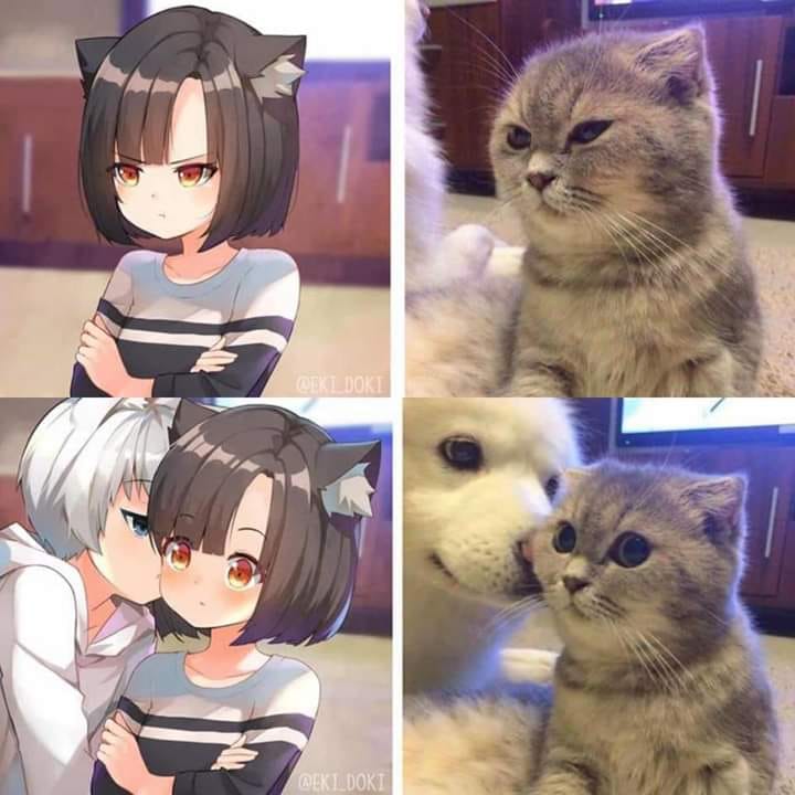 ENGQiGIXUAEbPsA.jpg