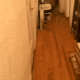 vc7qRyd.gif