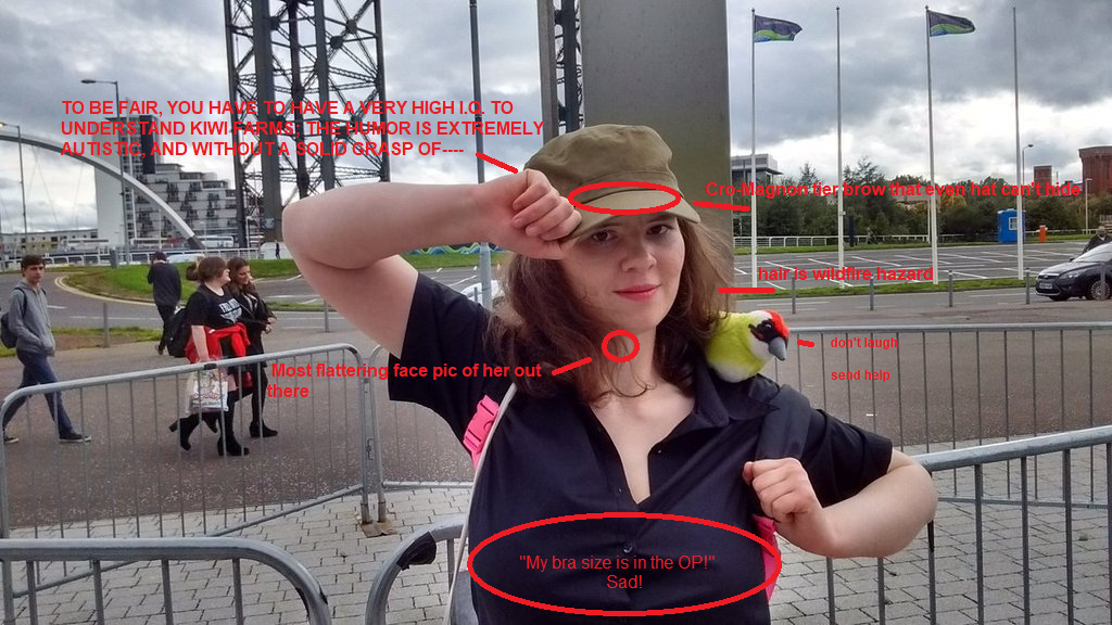 xer6YZF.png