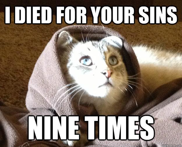 cat-jesus.jpg