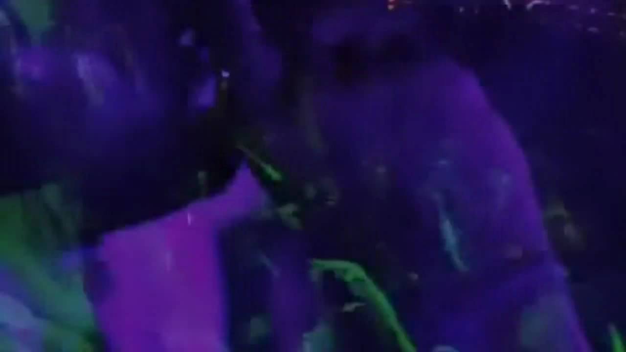 youtu.be