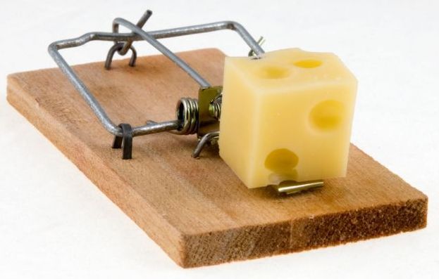 mousetrap.jpg