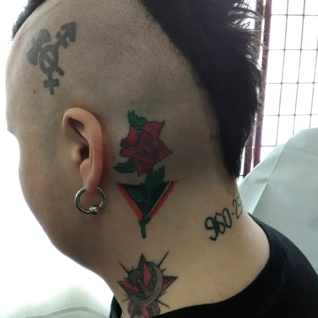 V8LFcYz.jpg