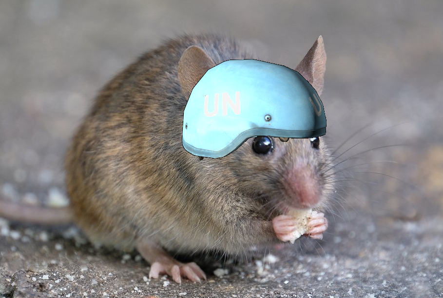ZInYCwL.png