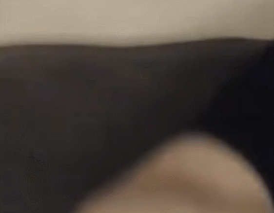 euvqdi.gif