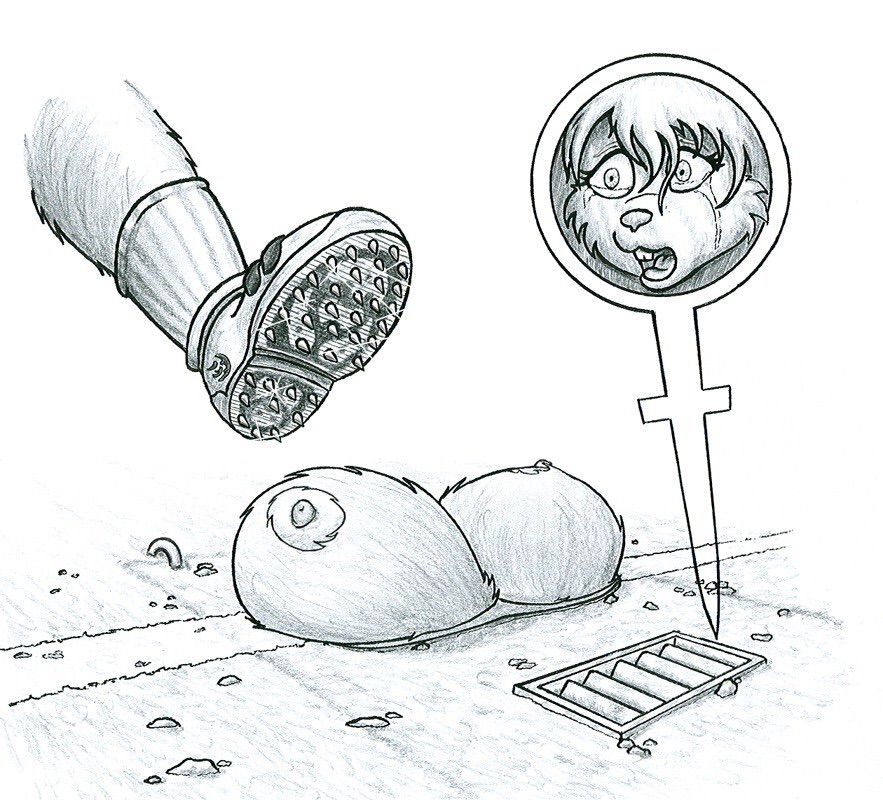 c7b30d3b37a26269d6b28a4beff274cd.jpg