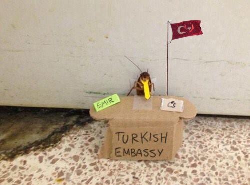 11gQBt7.jpg