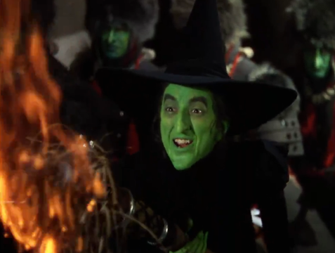 wickedwitchbroom.png